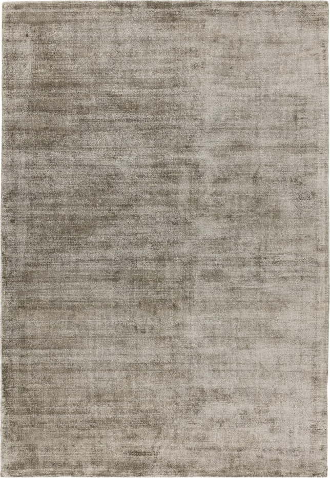 Hnědý koberec 230x160 cm Blade - Asiatic Carpets Asiatic Carpets