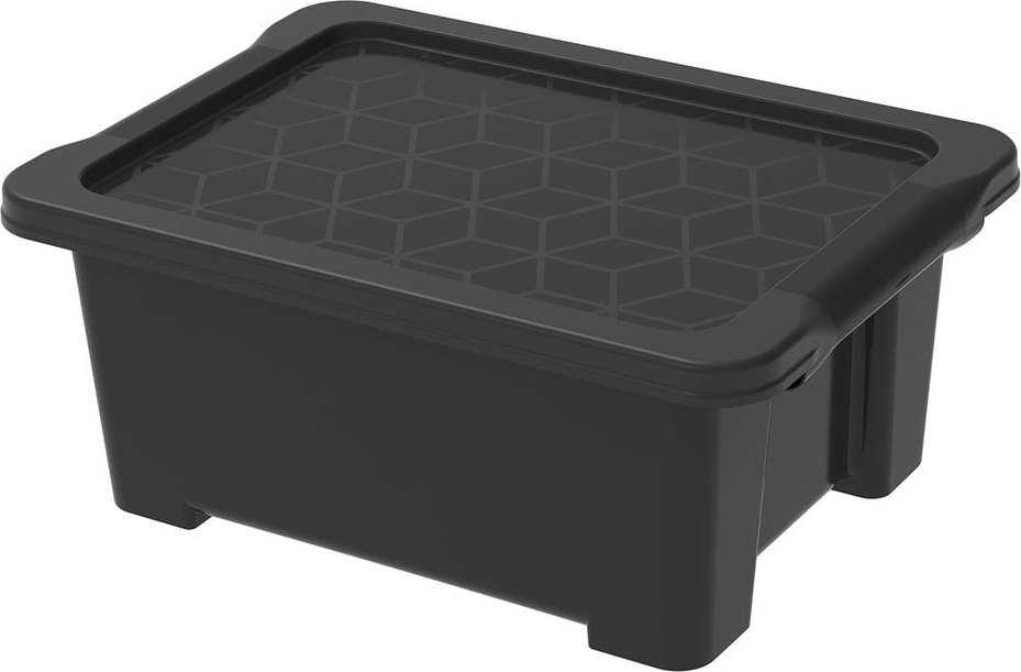 Leskle černý plastový úložný box s víkem Evo Easy - Rotho ROTHO