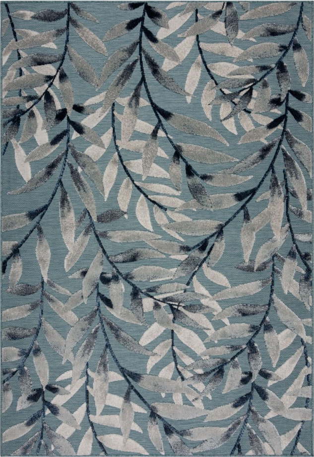 Modrý venkovní koberec 290x200 cm Willow - Flair Rugs Flair Rugs