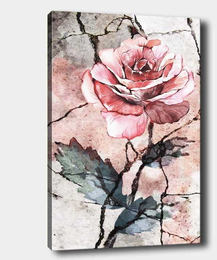 Nástěnný obraz na plátně Tablo Center Rose