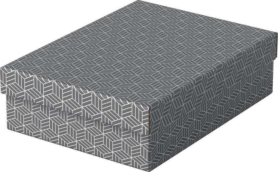 Sada 3 šedých úložných boxů Esselte Home