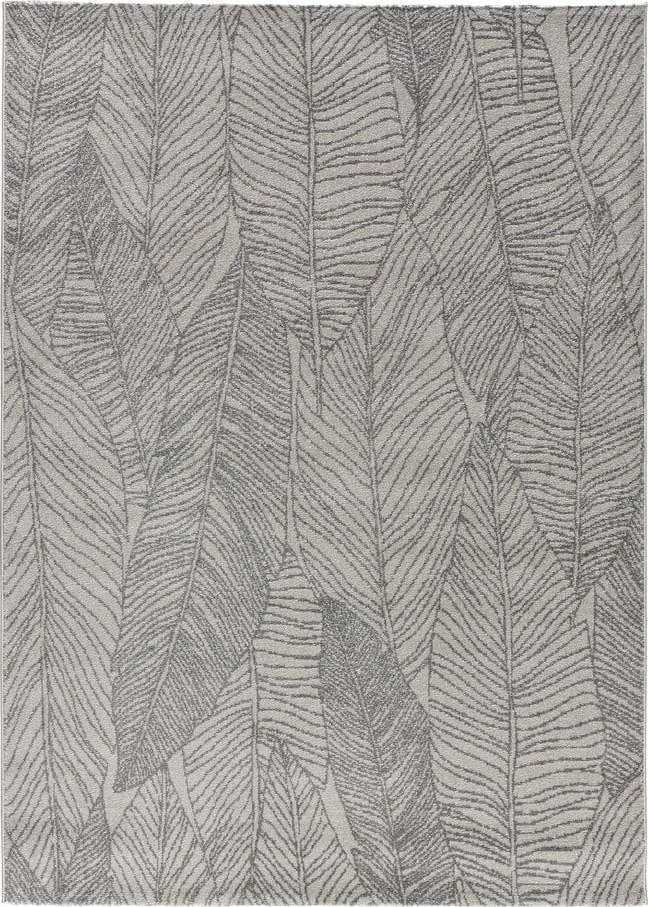 Šedý koberec 230x160 cm Hojas Gris Sunset - Universal Universal