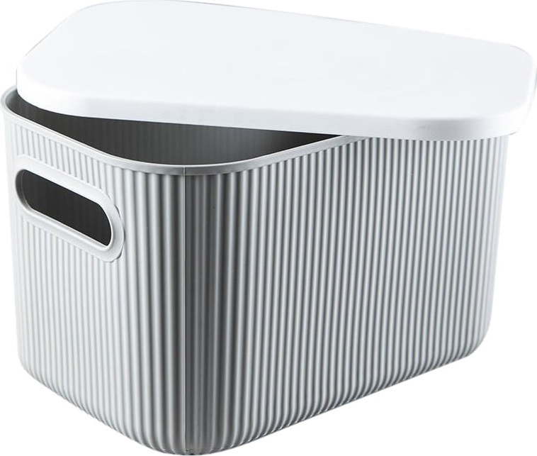 Plastový úložný box s víkem – Mioli Decor Mioli Decor