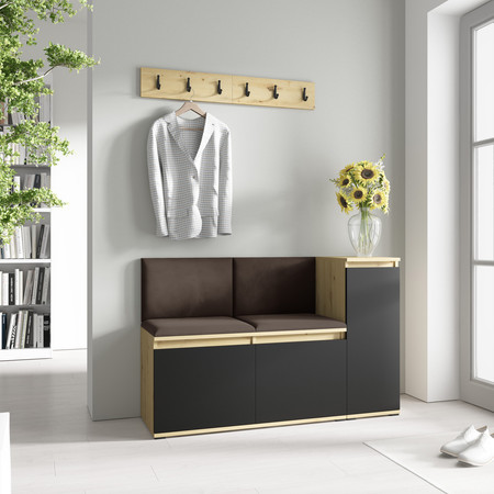 Předsíňová stěna EMI 25 Tmavě hnědá Dub artisan/černá SG-nábytek