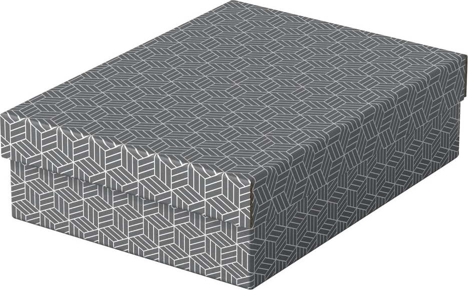 Sada 3 šedých úložných boxů Esselte Home