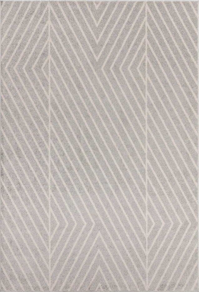 Světle šedý koberec 160x230 cm Muse – Asiatic Carpets Asiatic Carpets