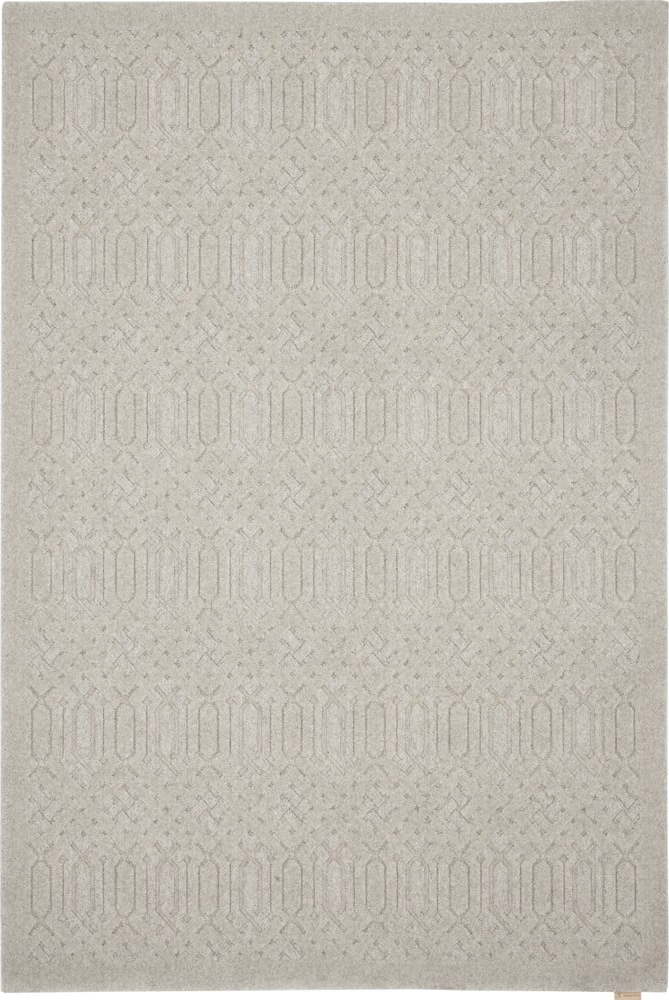 Světle šedý vlněný koberec 160x230 cm Dive – Agnella Agnella