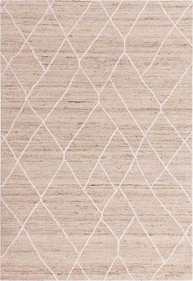 Béžový vlněný koberec 160x230 cm Noah – Asiatic Carpets Asiatic Carpets