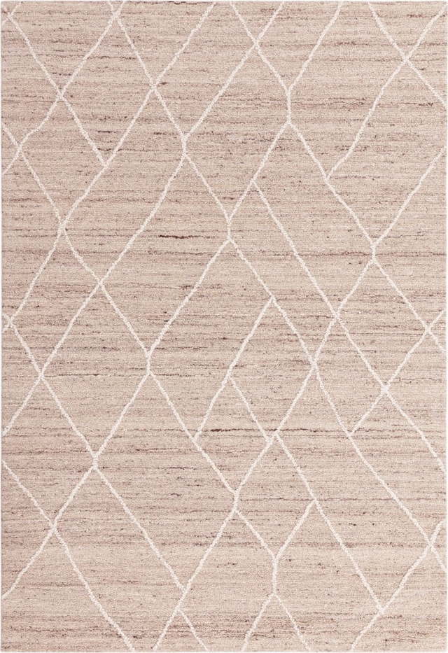 Béžový vlněný koberec 200x290 cm Noah – Asiatic Carpets Asiatic Carpets