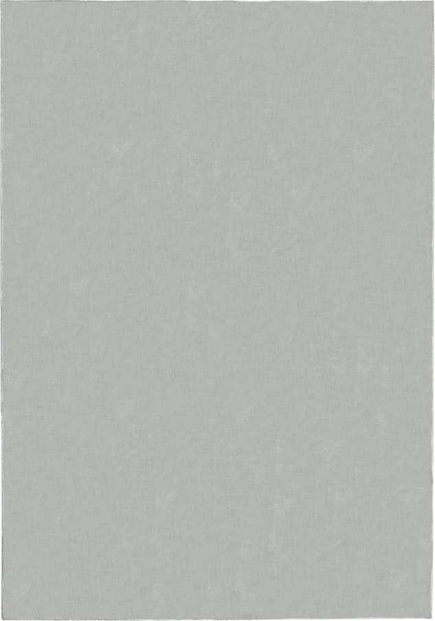 Světle šedý koberec 160x230 cm – Flair Rugs Flair Rugs