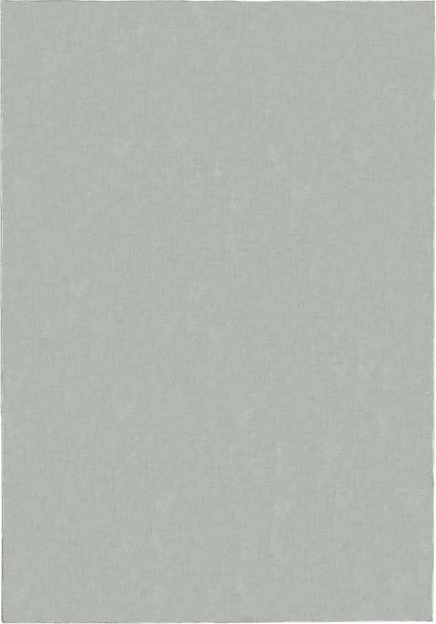 Světle šedý koberec 200x290 cm – Flair Rugs Flair Rugs