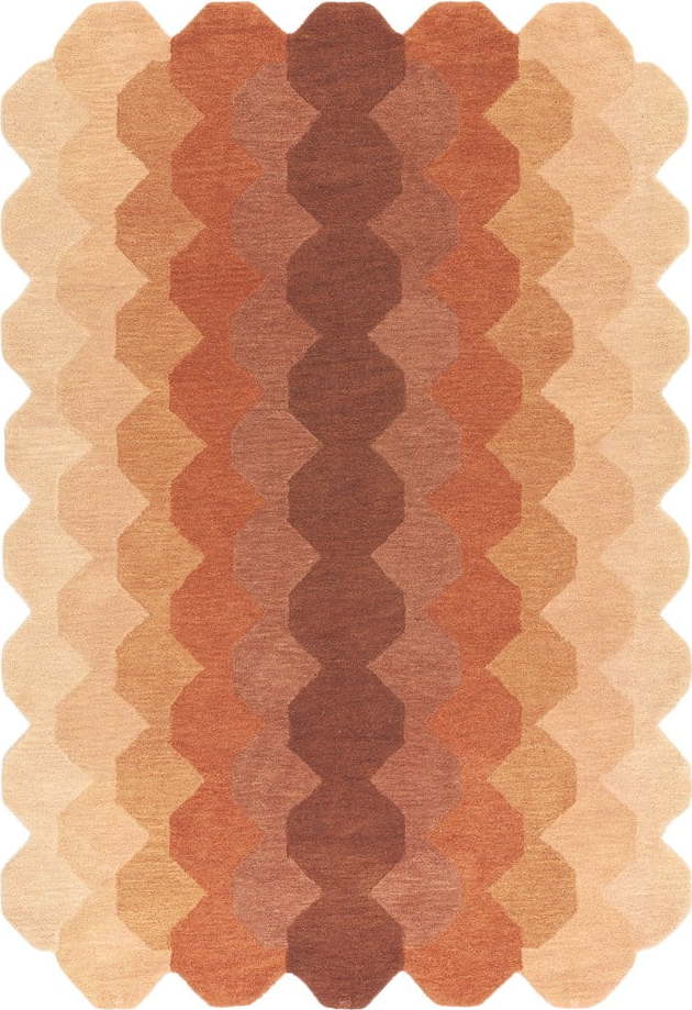 Vlněný koberec v cihlové barvě 120x170 cm Hive – Asiatic Carpets Asiatic Carpets
