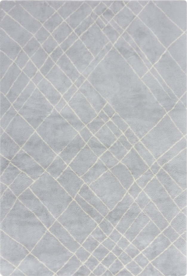 Světle šedý pratelný koberec 120x170 cm Alisha – Flair Rugs Flair Rugs