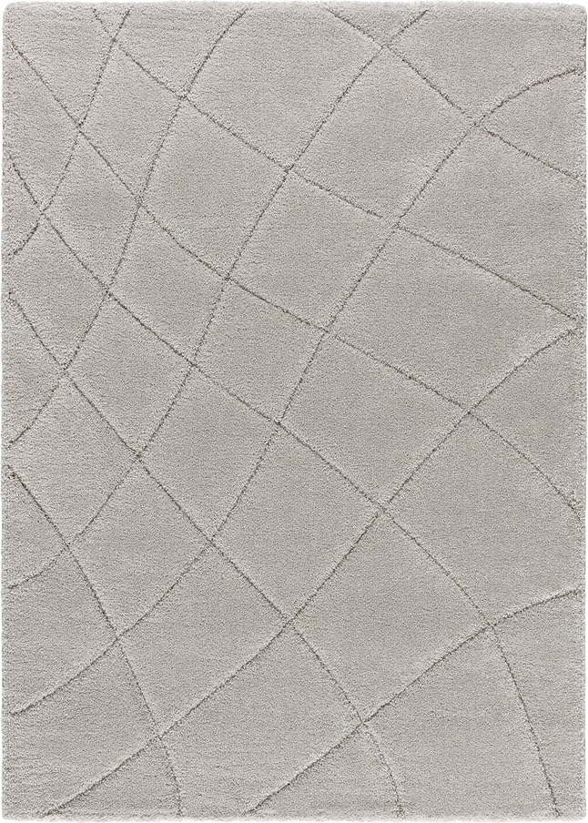 Světle šedý koberec 160x230 cm Molier – Universal Universal
