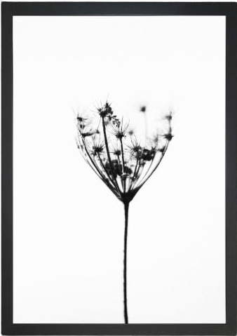 Obraz 23x28 cm Misty Splendor – Vavien Artwork Vavien Artwork