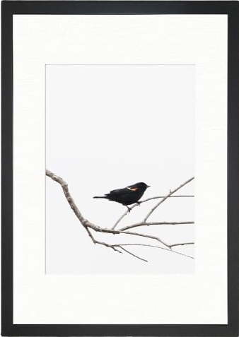 Obraz 24x29 cm Bird on the Branch – Vavien Artwork Vavien Artwork