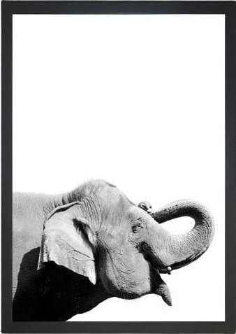 Obraz 24x29 cm Damarion Elephant – Vavien Artwork Vavien Artwork