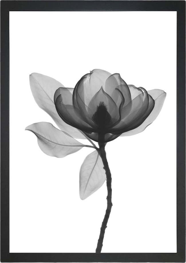 Obraz 24x29 cm Harmony Flower – Vavien Artwork Vavien Artwork
