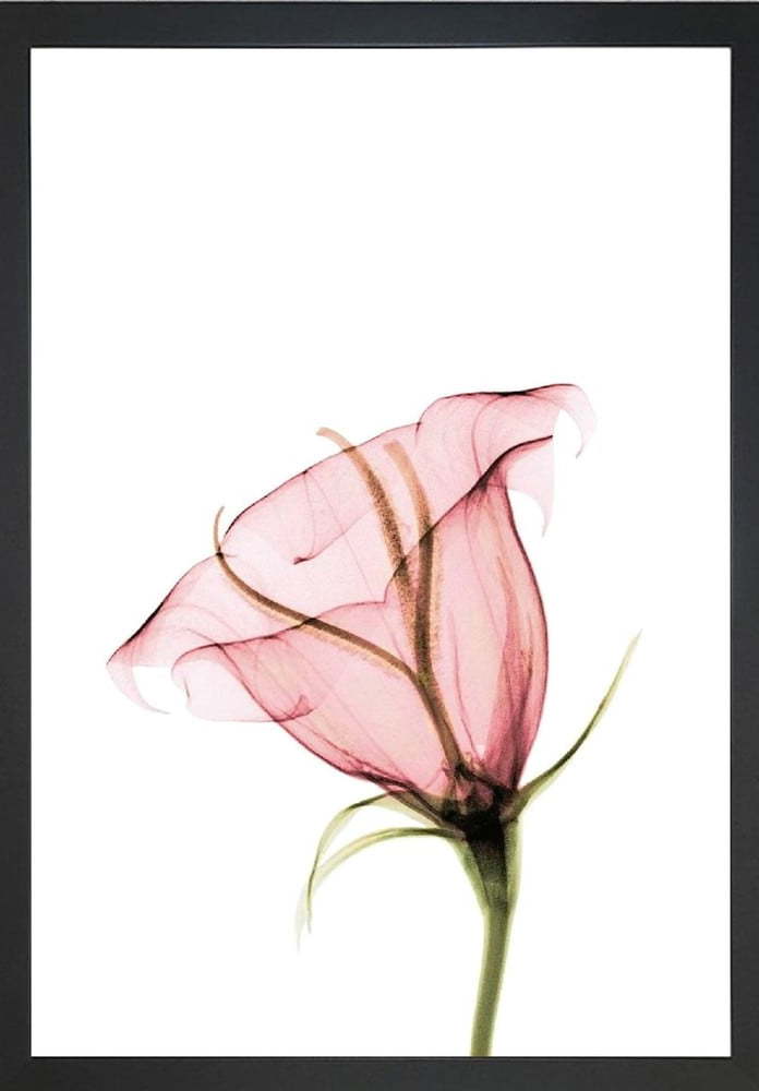 Obraz 24x29 cm Misty Bloom – Vavien Artwork Vavien Artwork