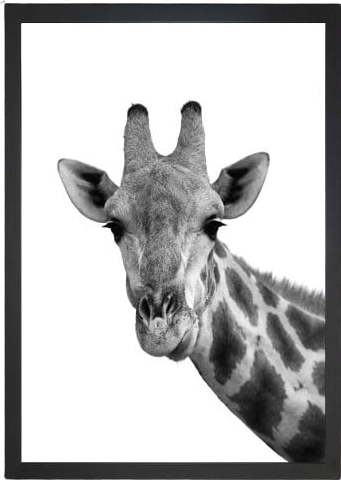 Obraz 24x29 cm Giraffe – Vavien Artwork Vavien Artwork
